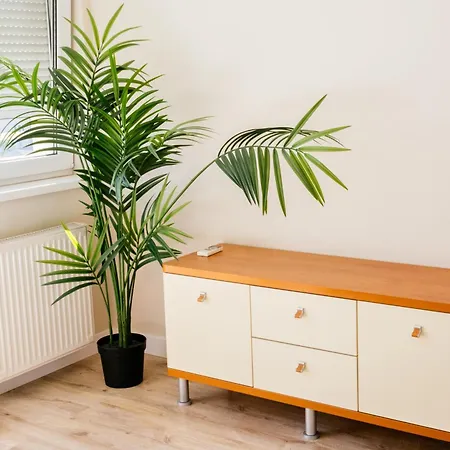 Stylish Duplex Penthouse In By Cavaland